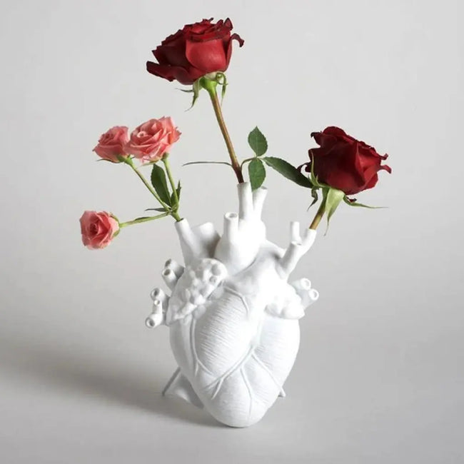 Anatomical Heart Vase in Multiple Colours and Sizes